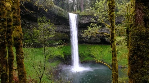 South Falls, Silver Falls State Park, Oregon Stock Footage 89806314