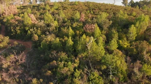 South Stock Footage 169712125