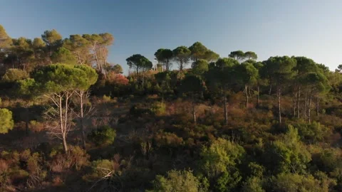 South Stock Footage 169712278