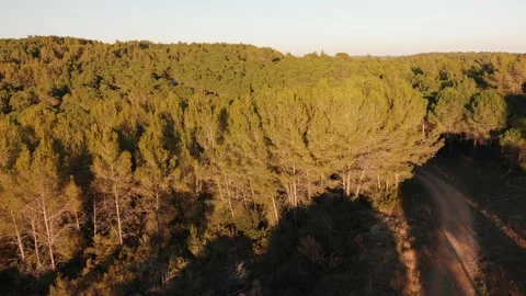 South Stock Footage 169713663