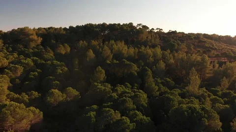 South Stock Footage 169713788