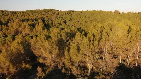 South Stock Footage 169714253