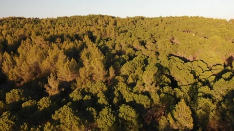 South Stock Footage 169714453