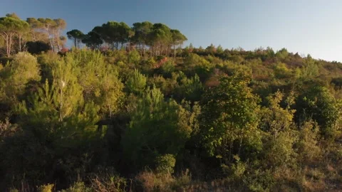 South Stock Footage 169714571