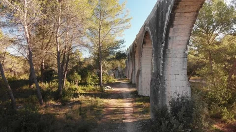 South Stock Footage 169791247