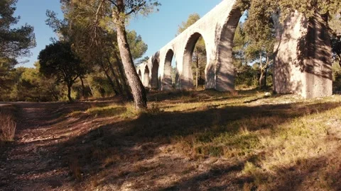 South Stock Footage 169791916