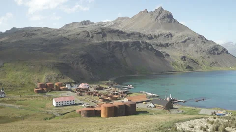 South Georgia Island – Coast wide shot (4K, 25 fps) Stock Footage 317841010