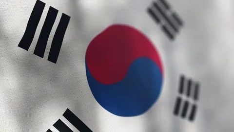 South Korea flag animated 스톡 동영상 80597657