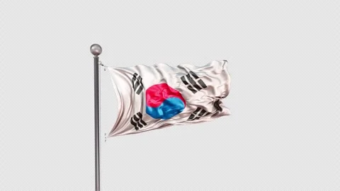 South Korea Flag  Animation Loop Include Alpha 3D Rendering Video stock 312105008