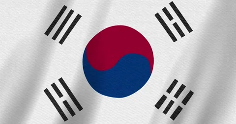 South Korea flag background with seamless loop Stock Footage 310447749