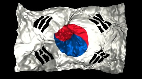 South Korea flag Stock Footage 110857023