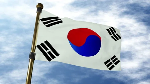 South Korea flag Stock Footage 170366302