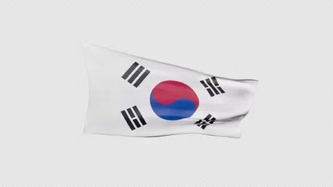 South Korea Flag Stock Footage 209749567