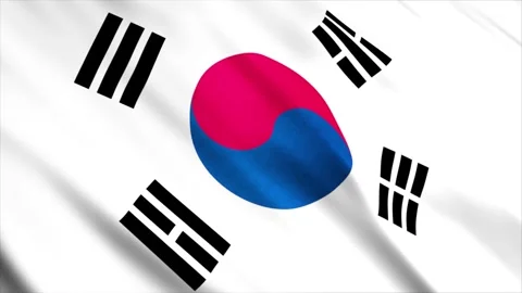 South Korea Flag Stock Footage 249034377
