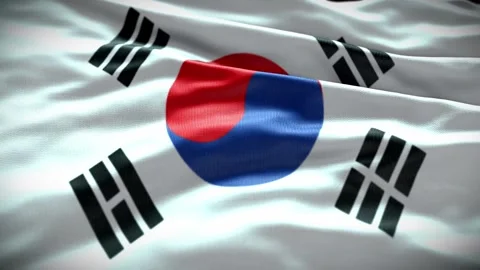 South korea flag 스톡 동영상 278076226