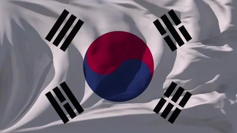 South Korea Flag Loop Stock Footage 295739521