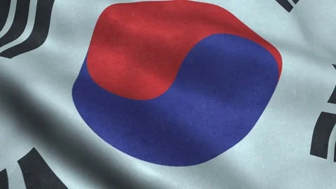 South Korea flag loop wave motion Video stock 82753305