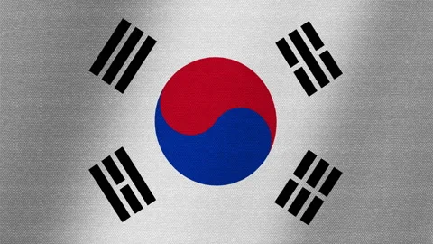 South Korea flag. Slow flutter of the canvas. Fluctuation of the fabric. 스톡 동영상 145170974