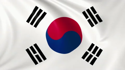 South Korea flag waving in the wind with high quality texture in 4K Stock Footage