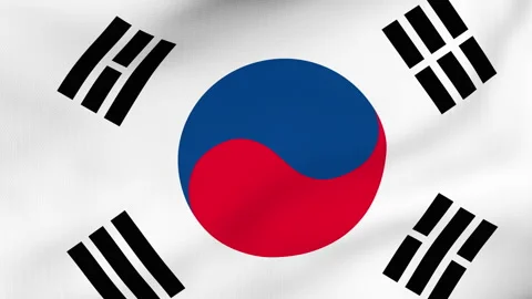 South Korea flag waving in the wind Stock Footage 137238501