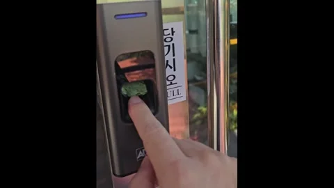 South Korea: Tiny frog blocks biometric scanner in Daegu, South Korea Video stock 320802318