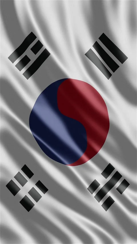 South korea waving flag Stock Footage 288004580
