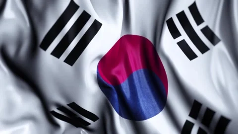South Korea  WAVING FLAG LOOP Stock Footage 321019632
