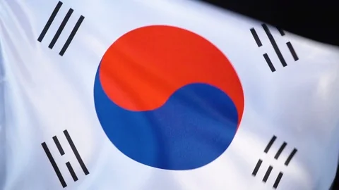 South Korean Flag Flapping Stock Footage 118969305