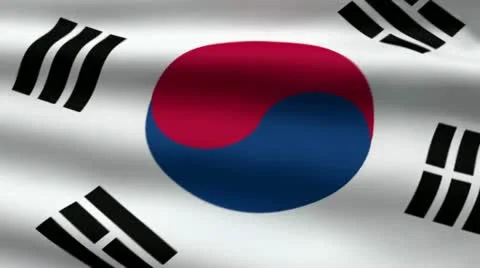 South Korean flag Stock Footage 11617977