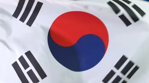 South Korean Flag Stock Footage 25101955
