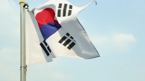 The South Korean Flag Stock Footage 62500089