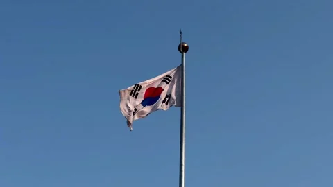 South Korean Flag Stock Footage 274323545