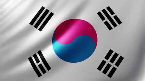 South korean flag Video stock 326853519
