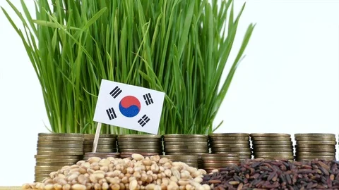South Korean flag with stack of money coins and piles of wheat and rice seeds Stock Footage 71947648