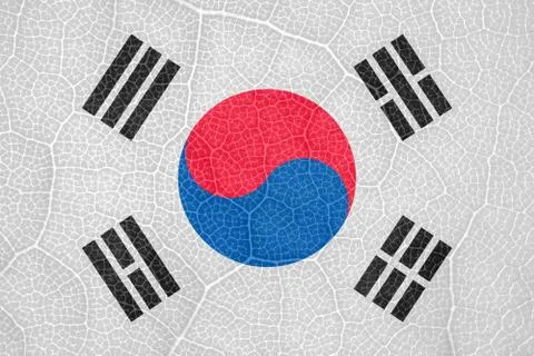 South Korean flag on the structure of a tree leaf macro Stock-Fotos
