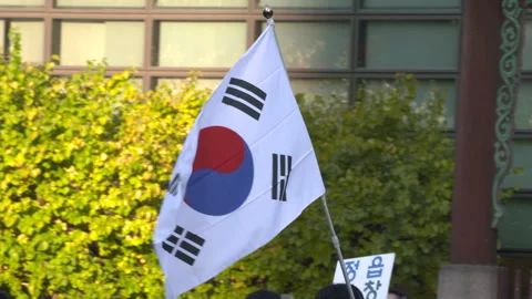 South Korean flag waving in the wind Vídeo Stock 336710985