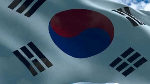 South Korea's flag waving Stock Footage 71190807