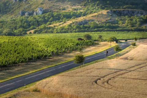 South Moravia landscape, area called Palava or Czech or Moravian Tuscany Stock Photos