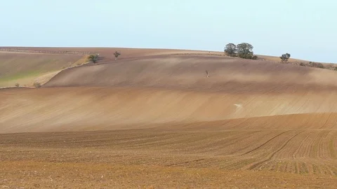 South Moravian autumn fields 스톡 동영상 99200330