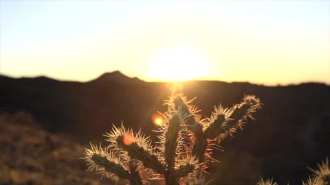 South Mountain- Video stock 170337306