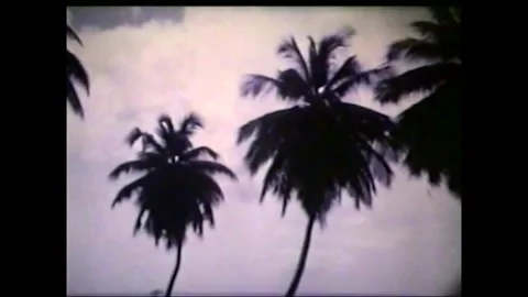 South Pacific Samoa beach sunset 1960s Cine Video stock 328348569