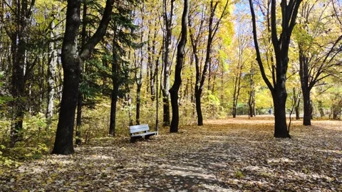 South Park in city of Sofia, Bulgaria Stock Footage 337938932