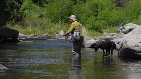 South Platte River Catch and Release Video stock 331874797