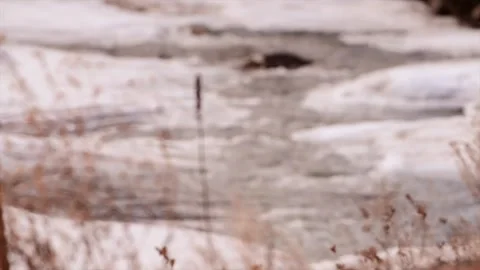 South Platte River With Ice Stock Footage 333349063