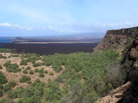 South Point Landscape pan Stock Footage 76032320