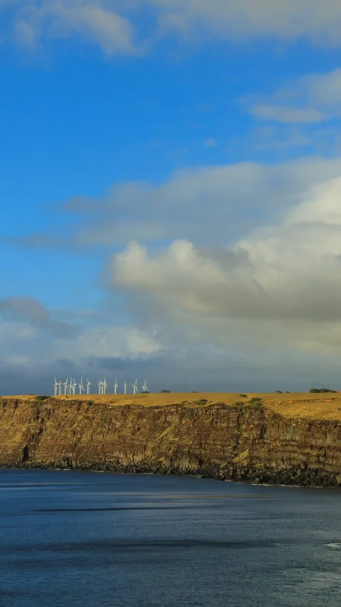 South Point State park Stock Footage 293153916