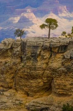 South Rim Stock Photos