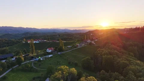 South Styria Vineyard Landscape at Sunset Austria Stock Footage 345681245