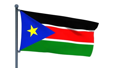 South Sudan Flag Stock Footage 150205066