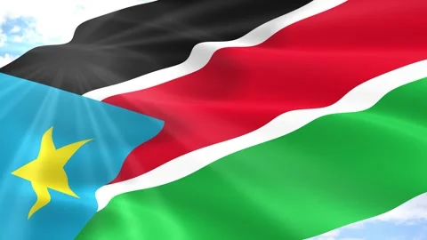 South Sudan Flag Seamless Loop 4k 60fps on Sky Background Vídeos de archivo 341551861